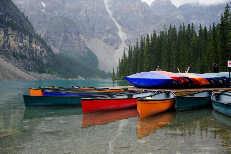 two row boats are tied to the shore