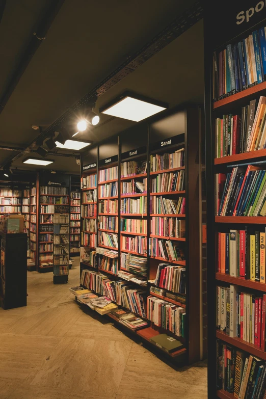 a room filled with lots of books and a lamp on top of the book shelf