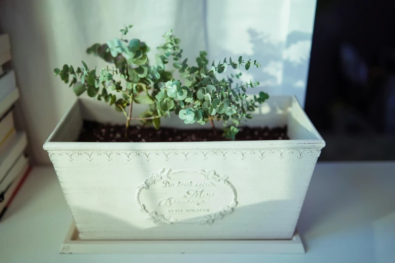 a small planter that has some flowers inside of it