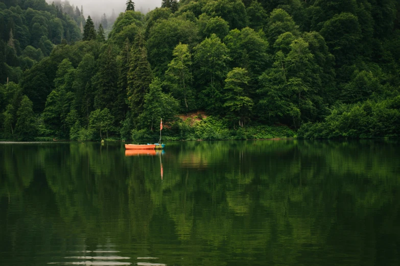 small boat on calm waters near a forested area