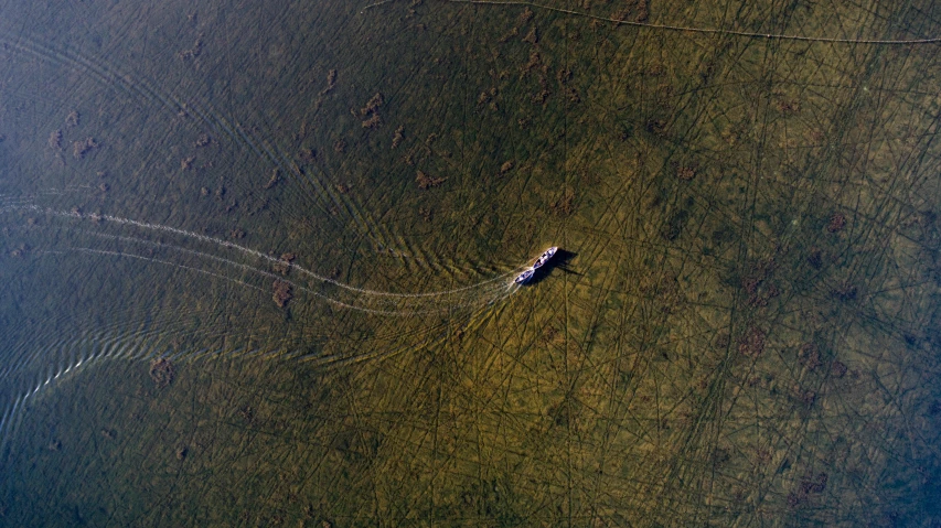 a boat in the water with lines flying over it