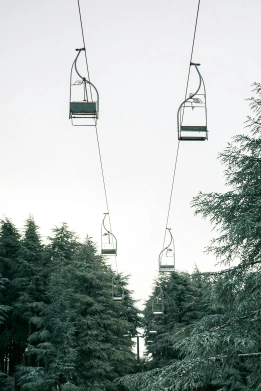 a group of people ride a ski lift over a lush green forest