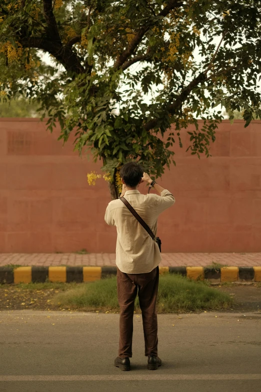 a man taking a po under a tree