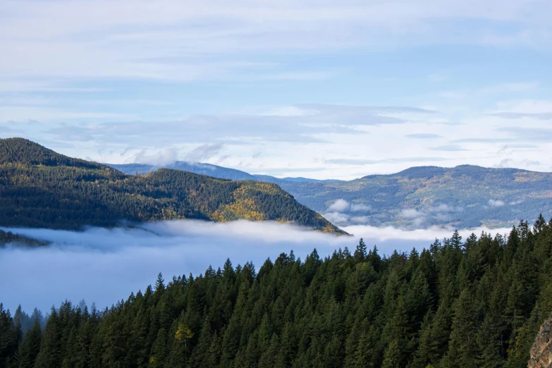 a mountain view that is covered with trees and fog