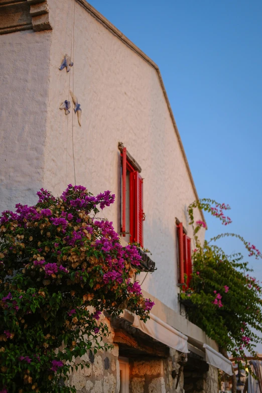 a building with red windows and purple flowers on the outside