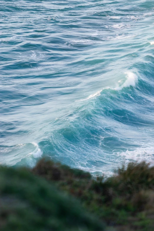 a surfer rides his surfboard near the shore