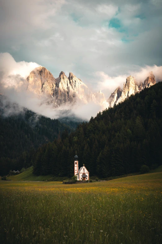 an alpine scene of mountains, a farmhouse and a field with flowers