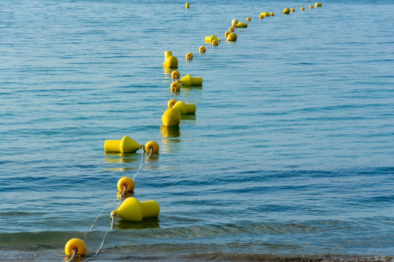 rows of yellow life vests floating on water near shore line