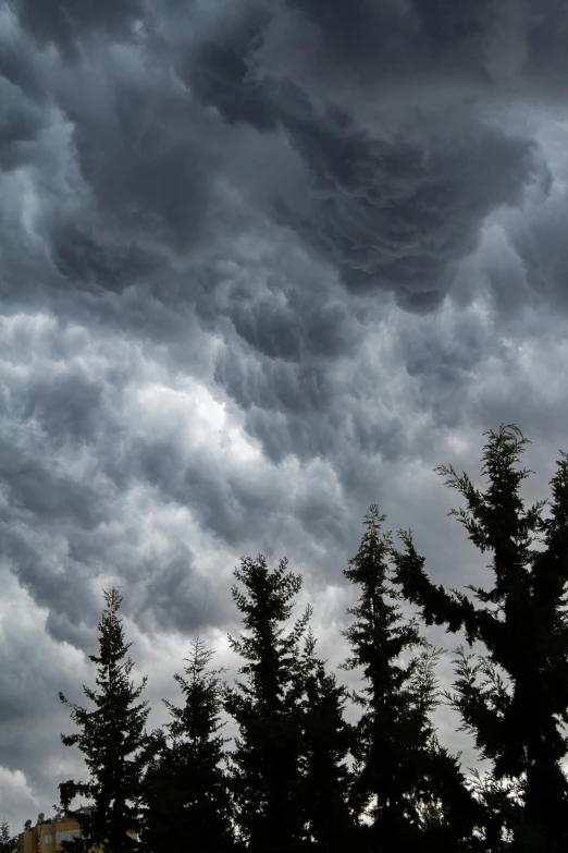 clouds loom over trees under a dark sky