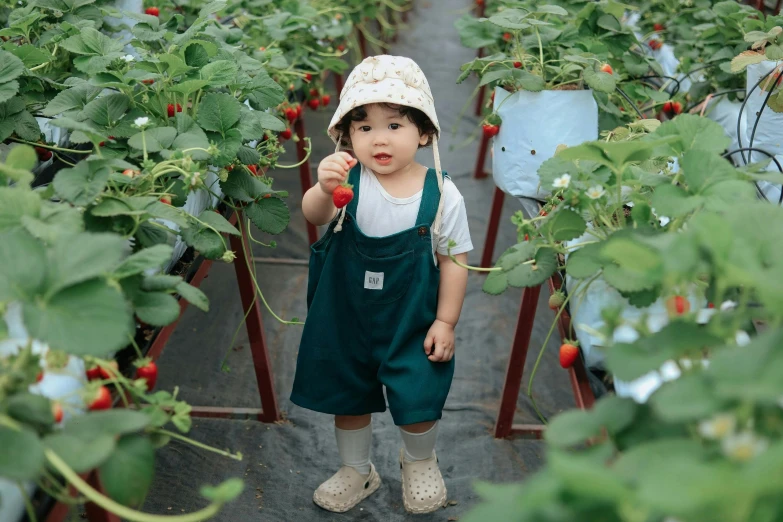 a little child standing among the green plants