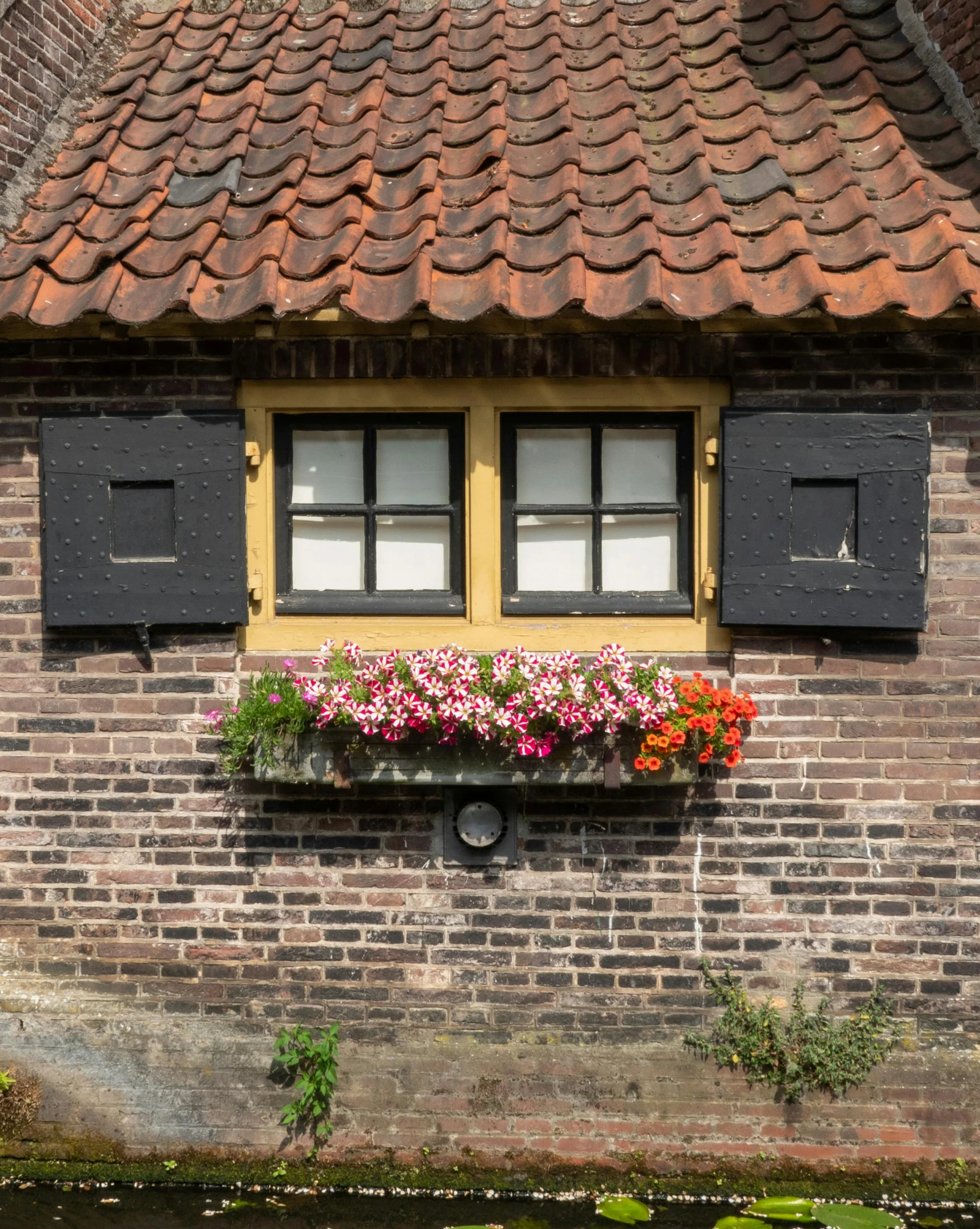 the house has a lot of flowers in the window