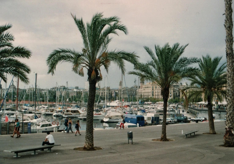 people walking by trees and boats at a marina