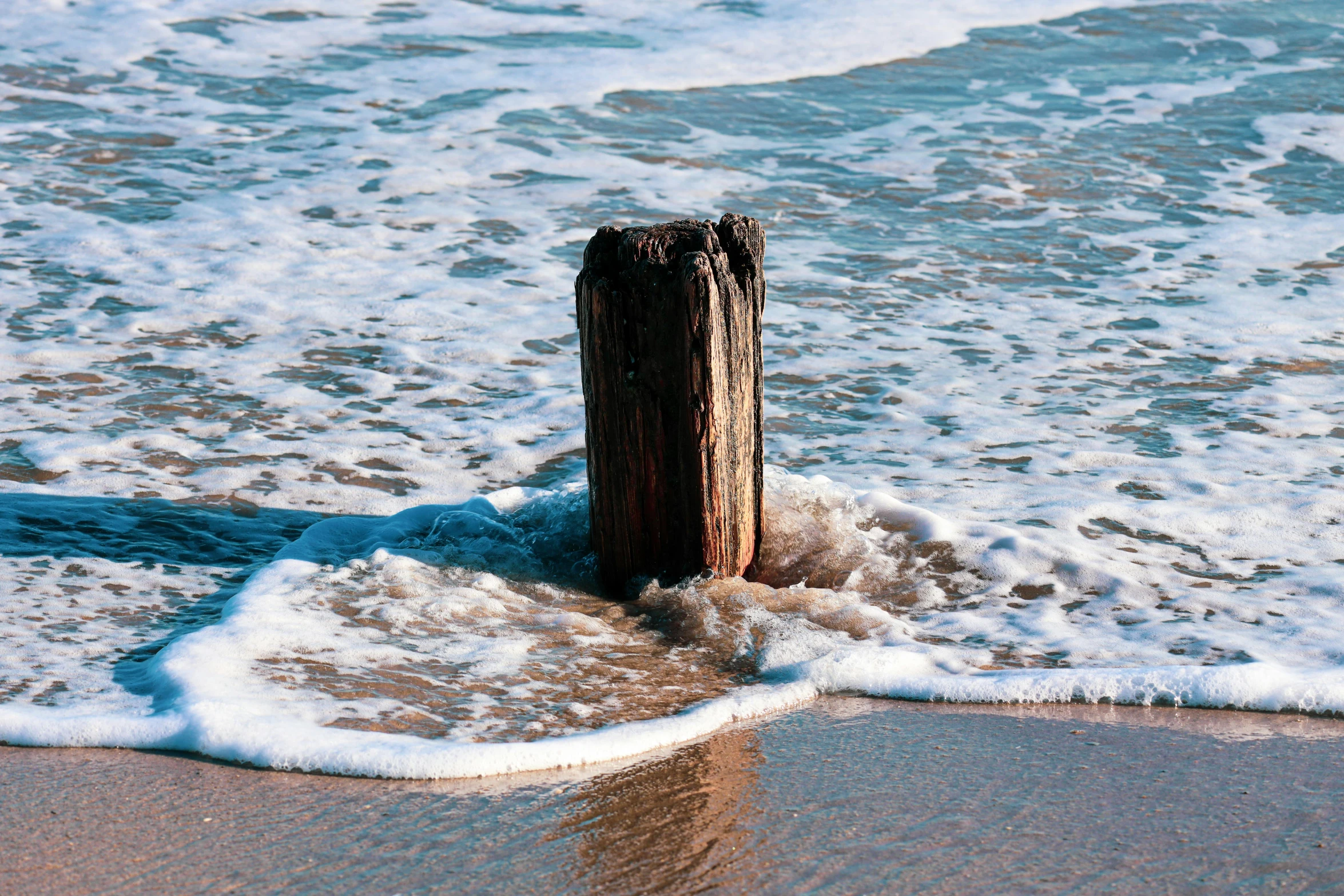 a piece of wood sticking out of the sand on the beach