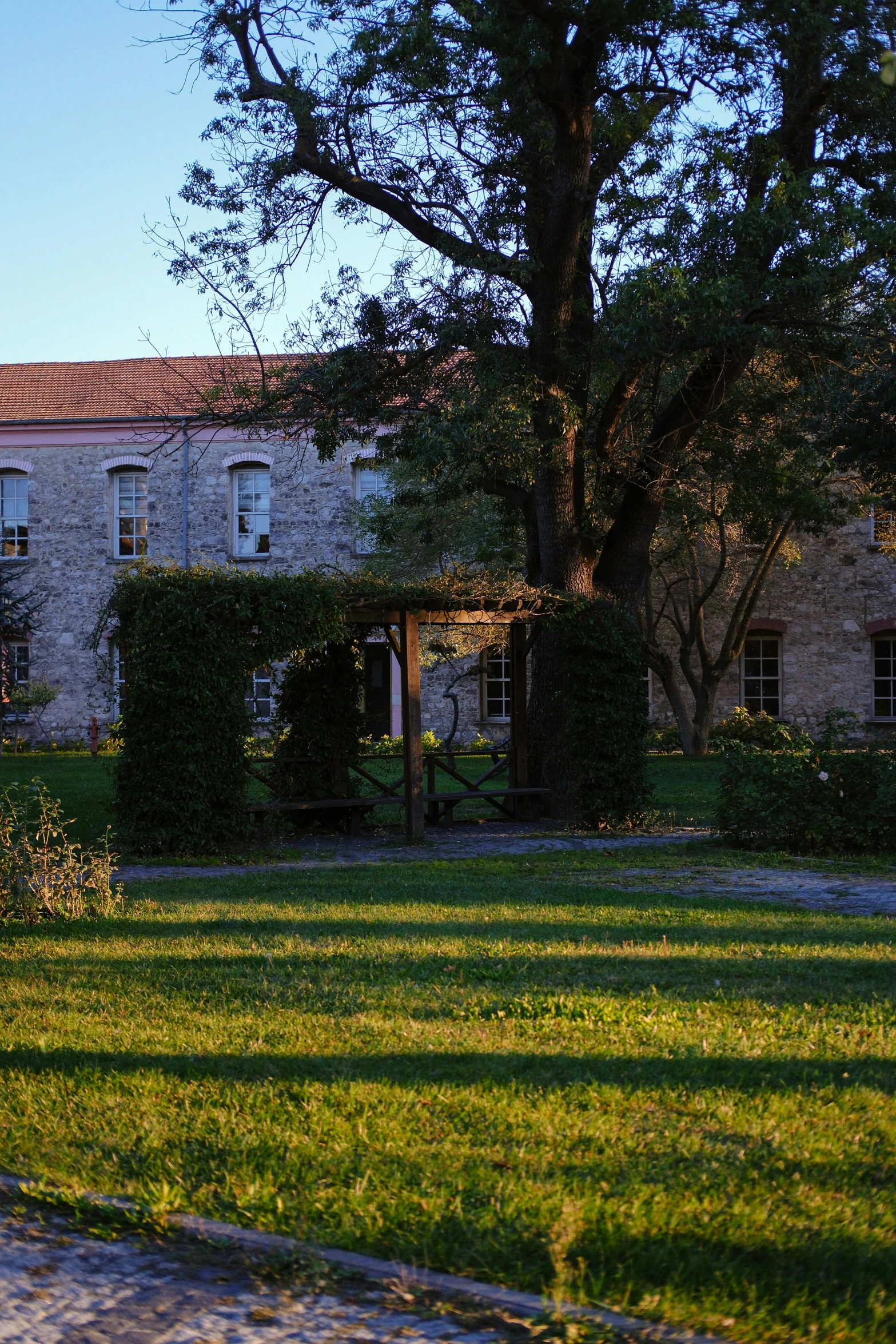 a building with many windows and bushes growing around