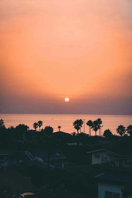 a bird flies in the air at sunset