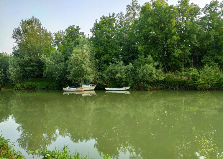 two boats on a river near a forest