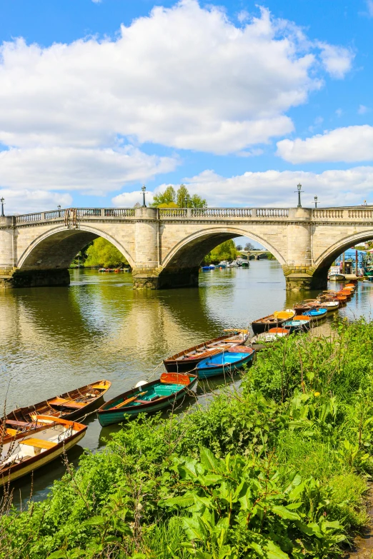 boats are lined up along the shore under a bridge