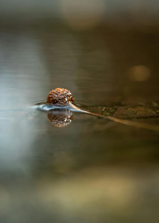 a water drop sitting on top of a table