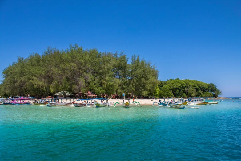 a very long line of boats and some trees on a small island