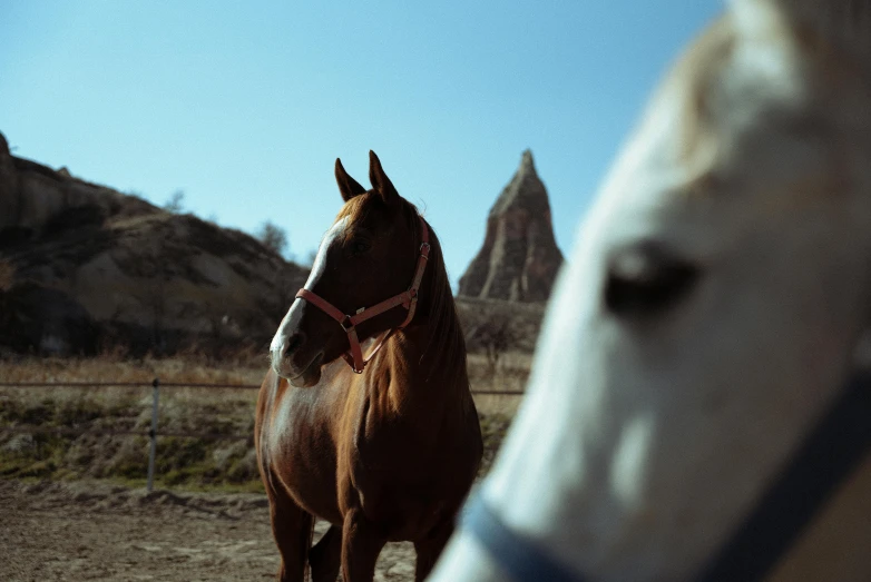 a horse standing in the dirt with a mountain in the background