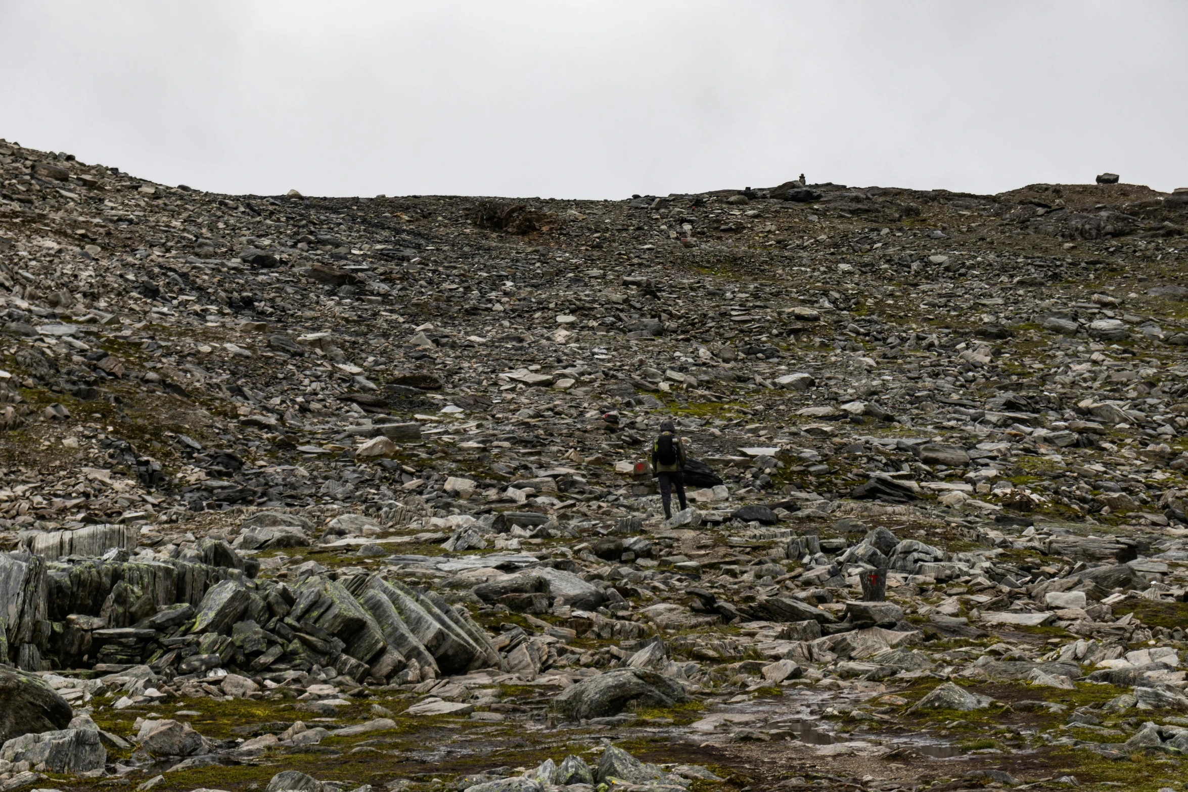 several people walk up a rocky slope, with low scrubby terrain