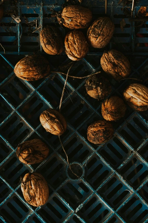 a bunch of nuts on a grill on a table