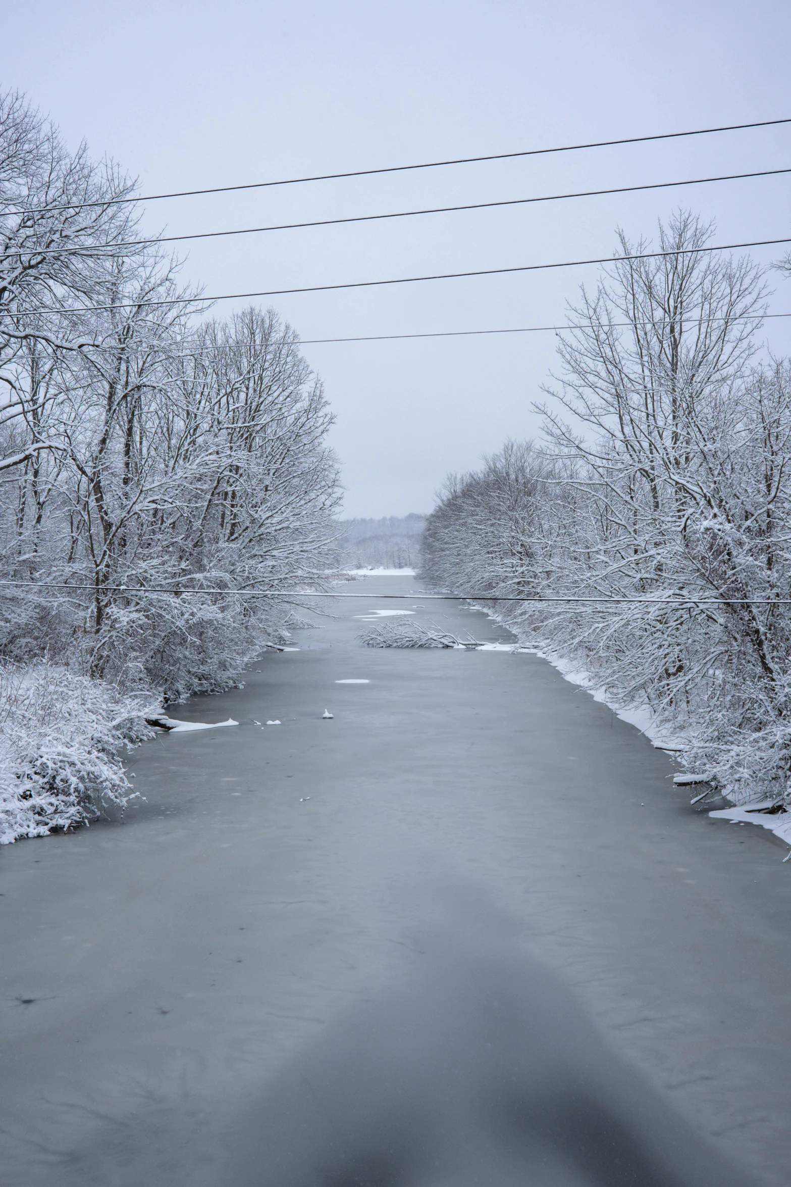 there are snow covered trees along this long road