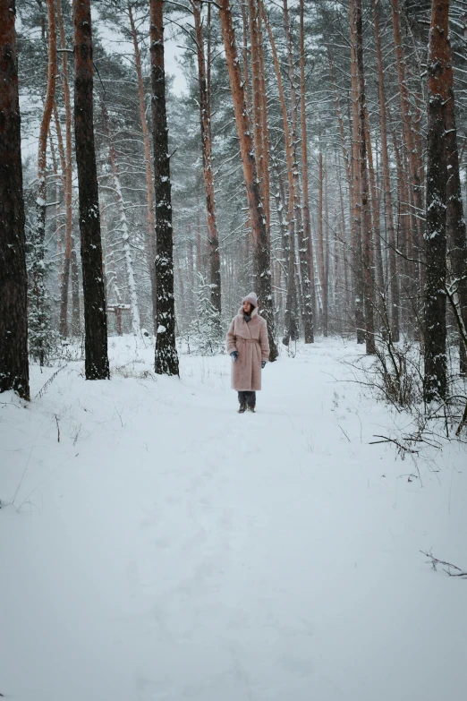 a person in a pink jacket walking on a snow covered path