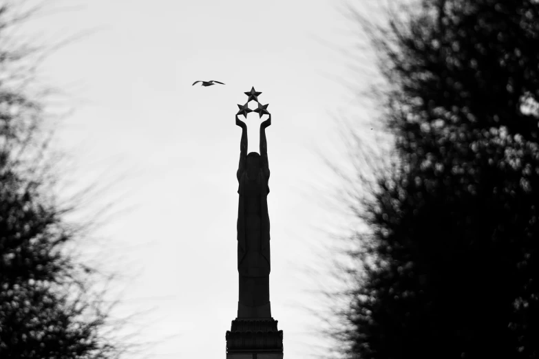 a black and white po of trees and a monument