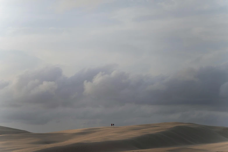 a person flies a kite on a cloudy day