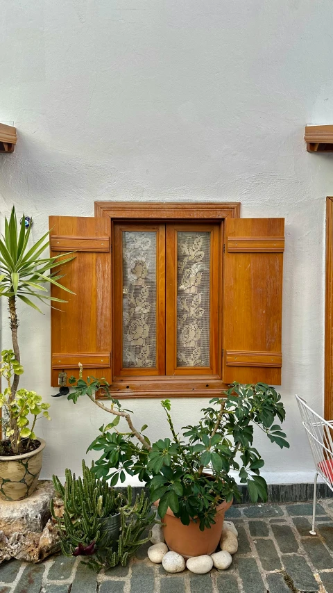 a window with shutters and a potted plant