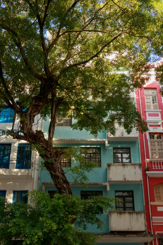 a large blue building sitting next to a tree