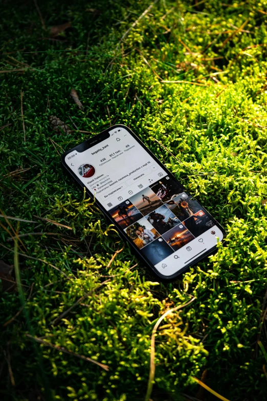 two phones sitting in the middle of grass