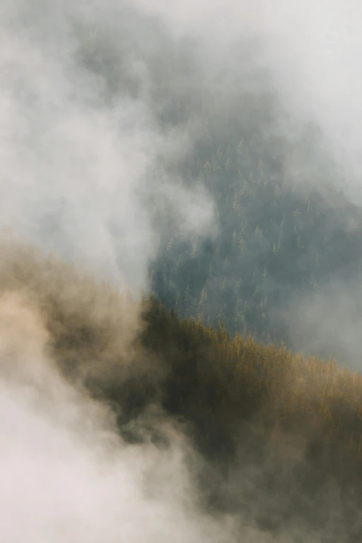 a foggy view of a tree line covered mountain range