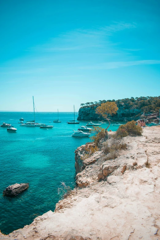 many boats are out on the ocean on a sunny day