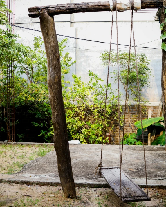 two hanging swings next to some trees and bushes