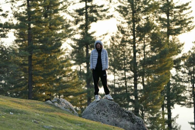 a person is on top of a large rock in the middle of a field with tall trees