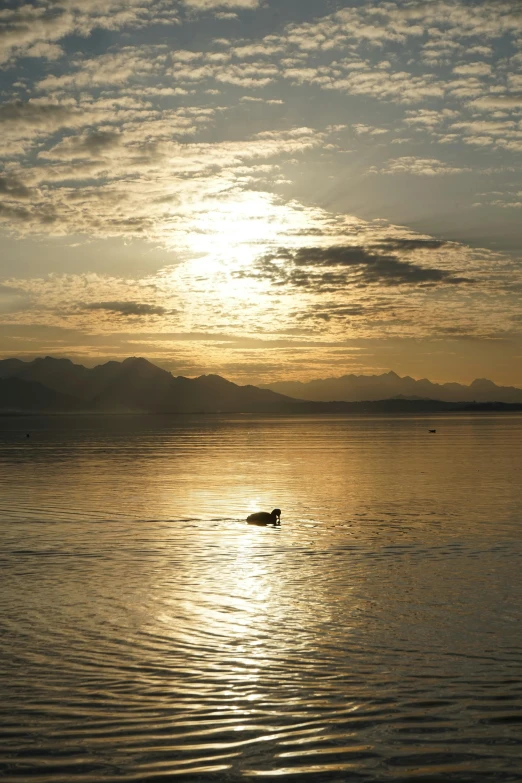 a boat floating on the ocean under a sunset