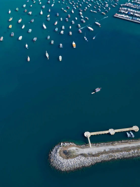 a group of sailboats in a large body of water