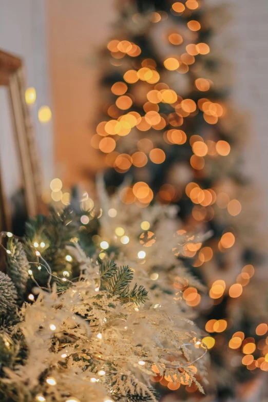 a close - up of a tree and ornaments of christmas