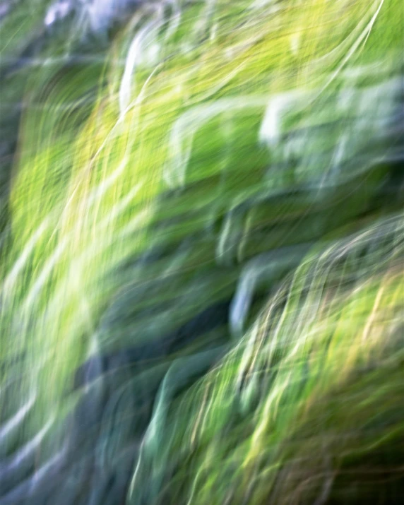 a blurry pograph of green leaves with a blue sky in the background