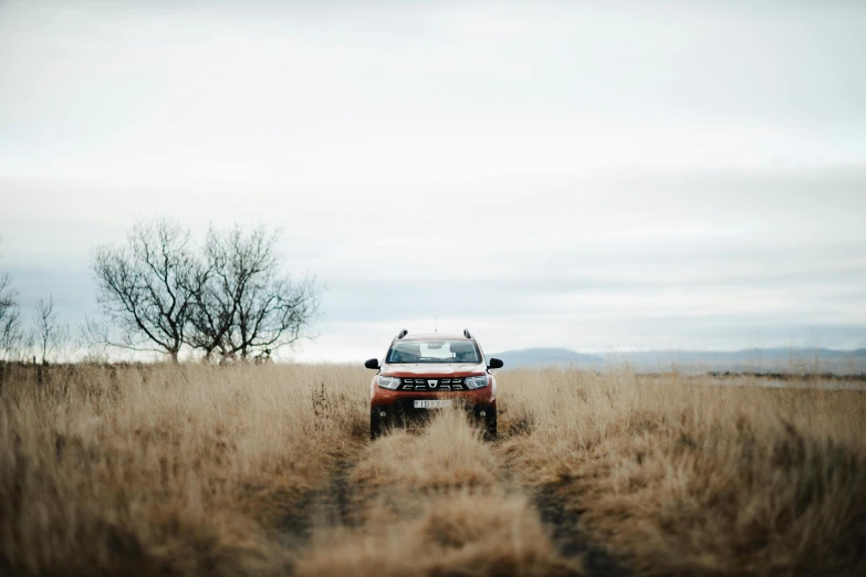 the truck is in the high grass of this field