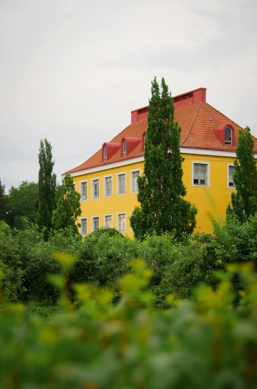 some bushes and trees are in front of a large building