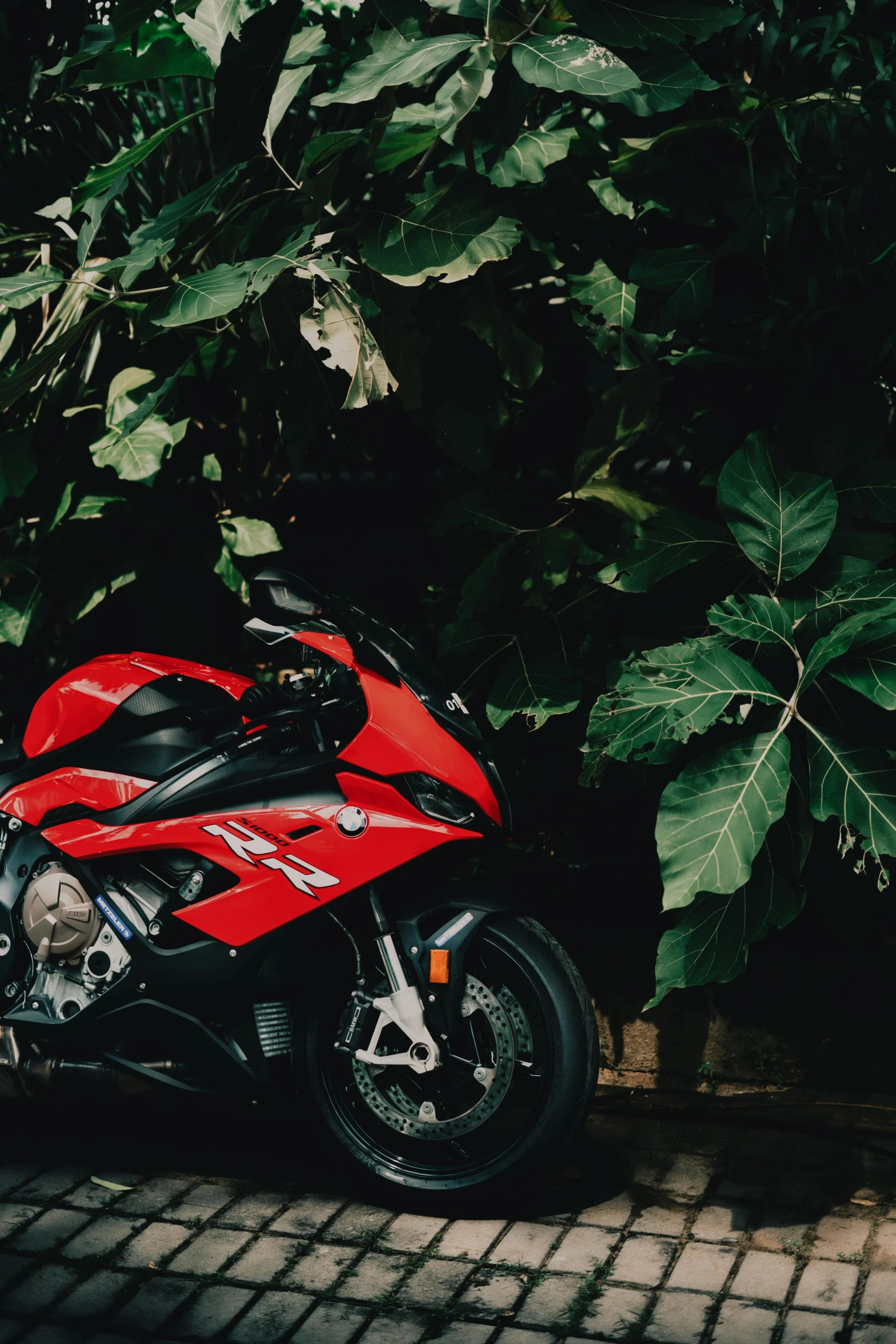 a red motorcycle sits parked near some leaves