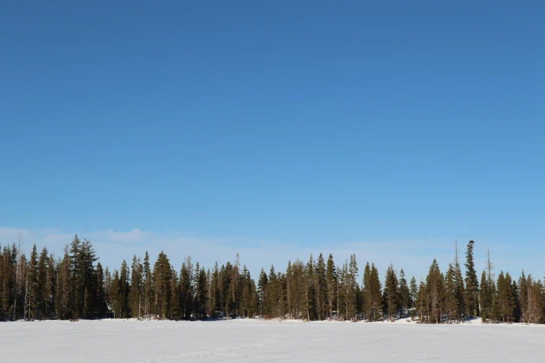 trees line the slopes of an open area