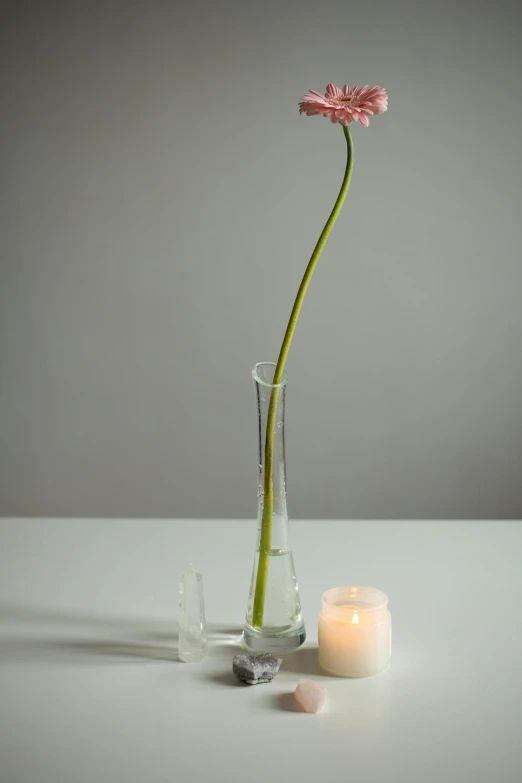 a single flower in a clear vase sitting next to a lit candle