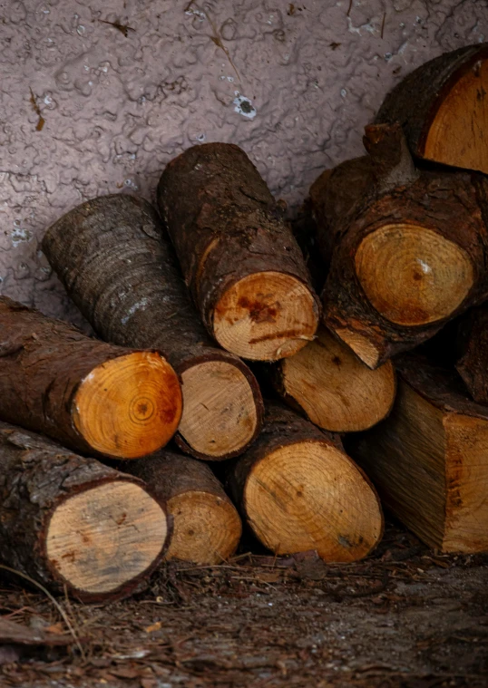 logs stacked up together on the ground