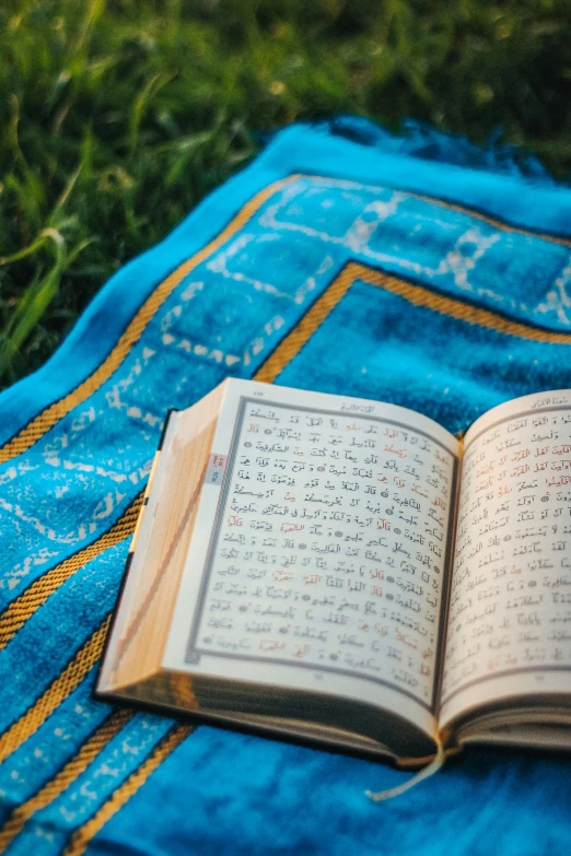 open book sitting on the grass next to it's name