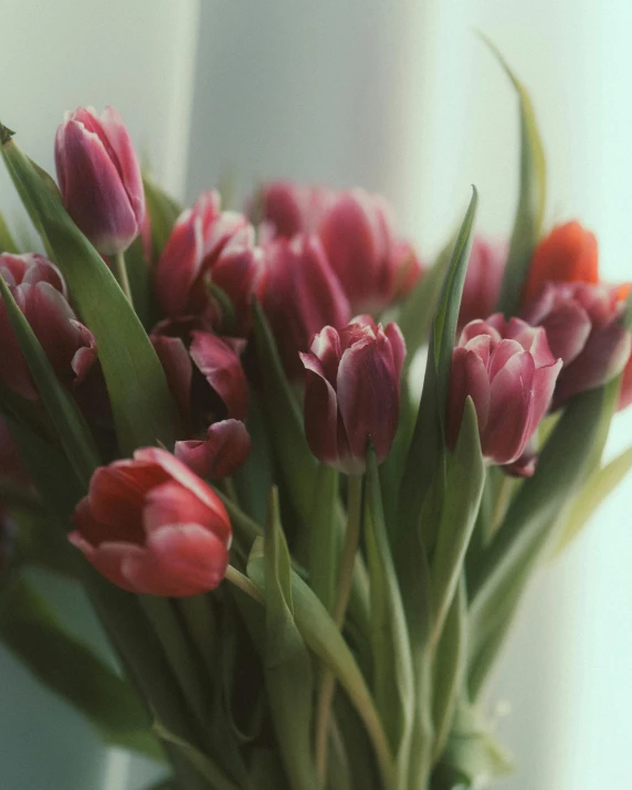 a bouquet of tulips sitting in a vase on the side