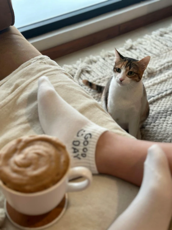 a cat sitting on the floor by someones legs with coffee